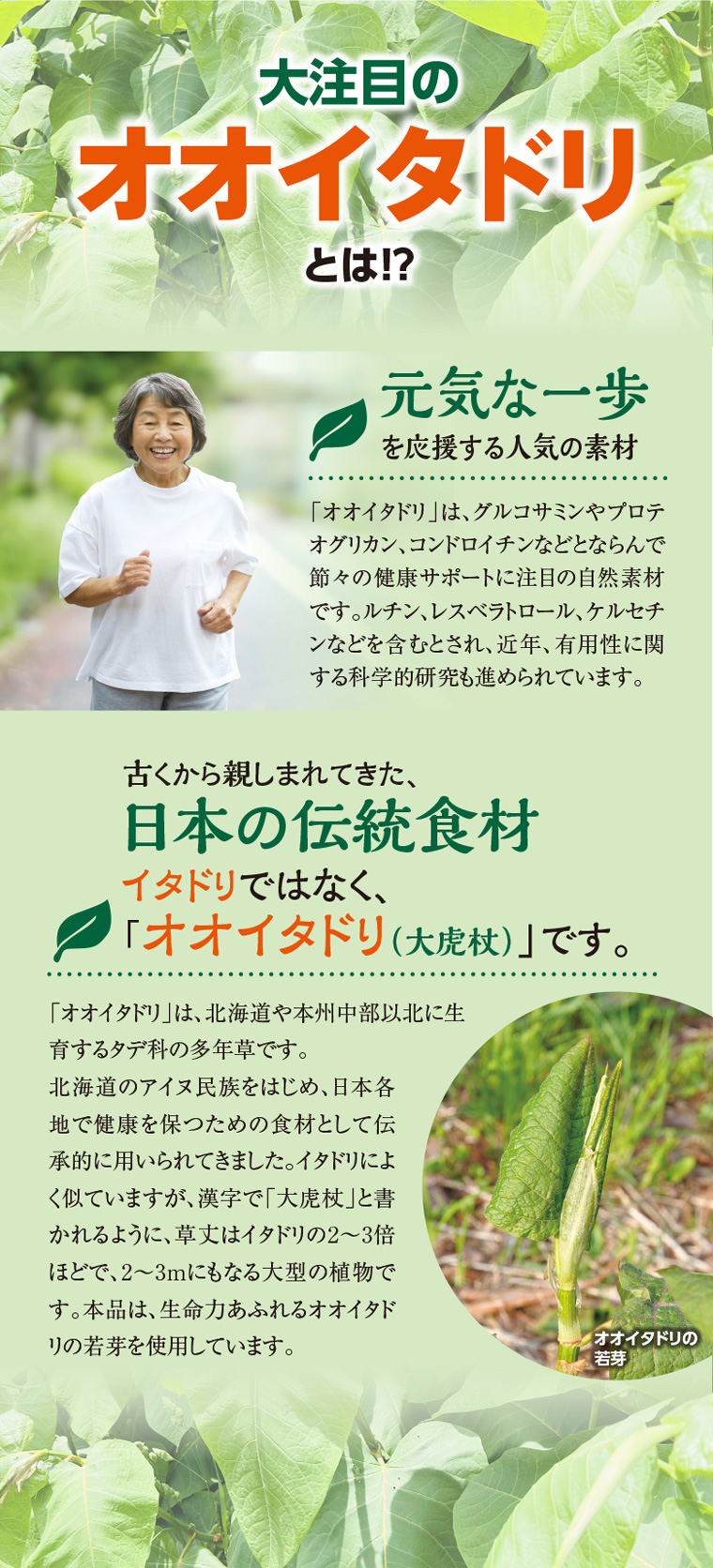 �C���[�W