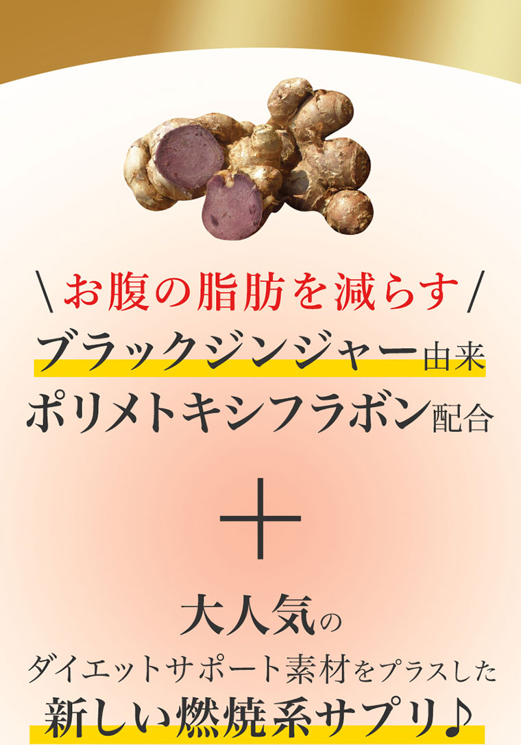 お腹の脂肪を減らすブラックジンジャー由来