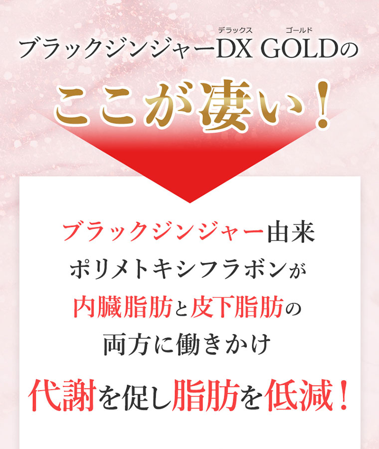 ブラックジェンジャーDXGここが凄い