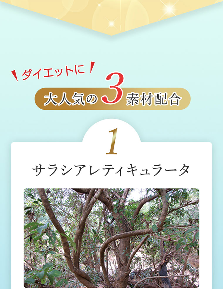 サラシアレティキュラータ