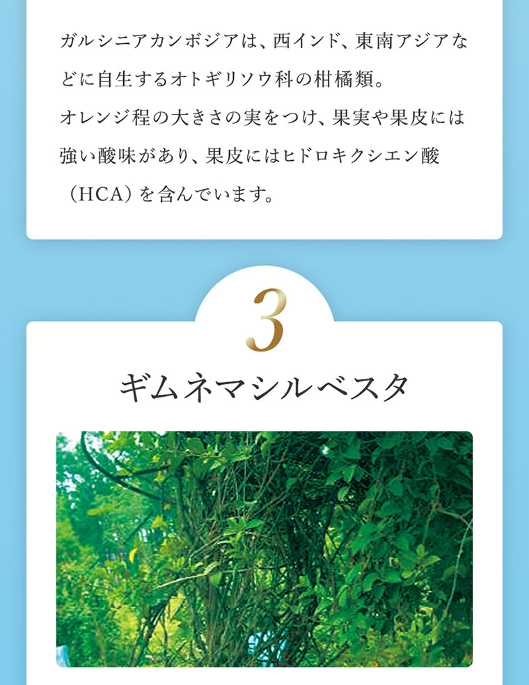 3つの厳選成分がサポート!