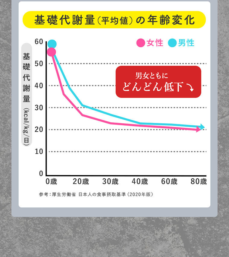 基礎代謝の低下グラフ