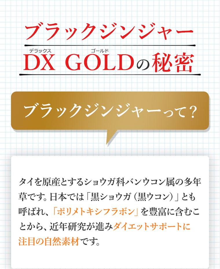 ブラックジンジャーDCGの秘密
