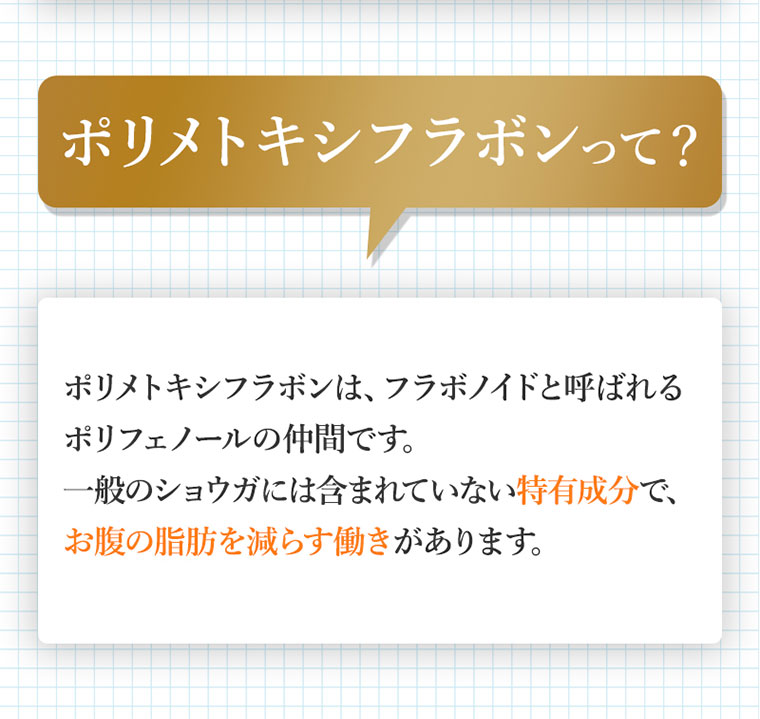 ブラックジンジャーDCGの秘密2