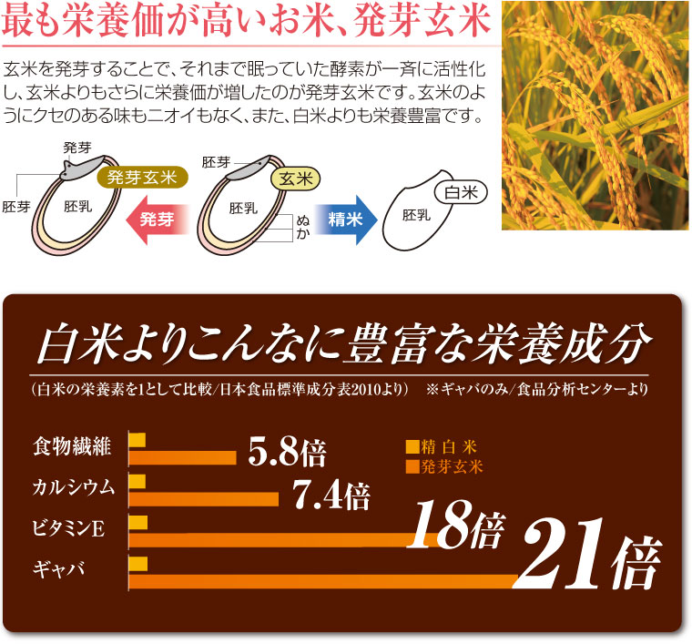 発芽玄米 花一膳