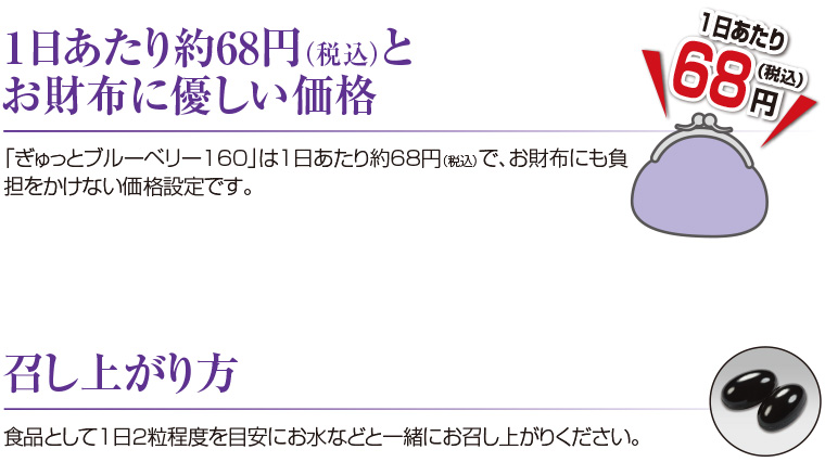 ぎゅっとブルーベリー160