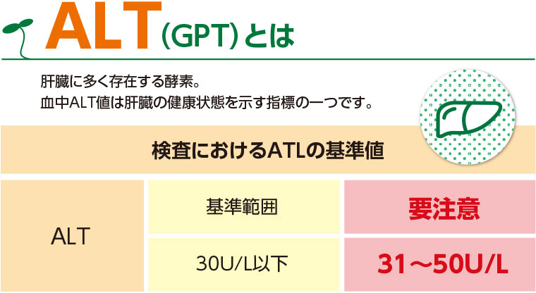 ALTとは