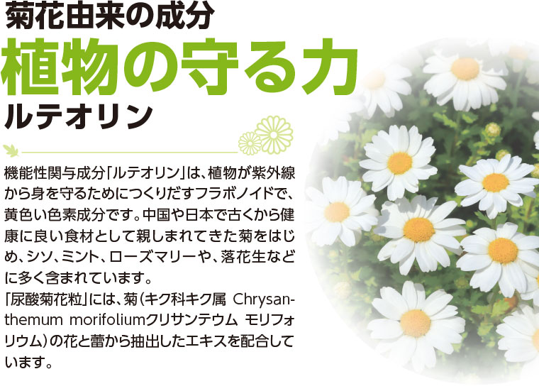 植物の守る力