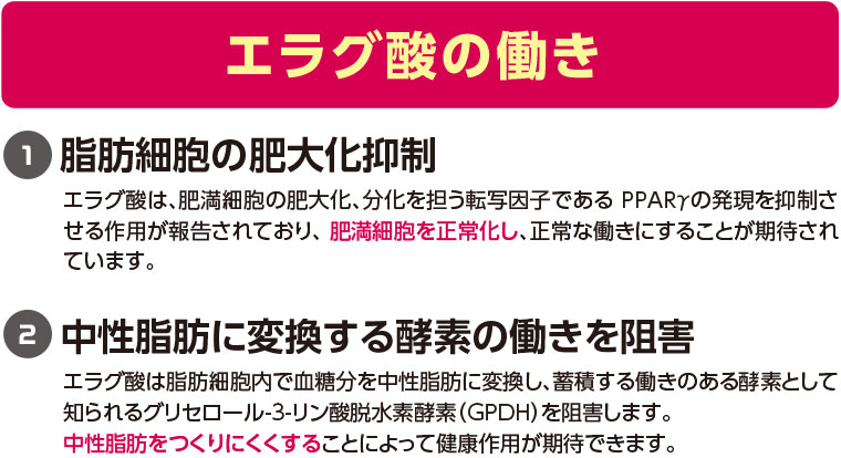 エラグ酸の働き