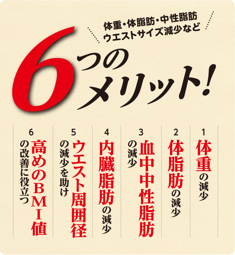 スリムバリアV6 6つのメリット