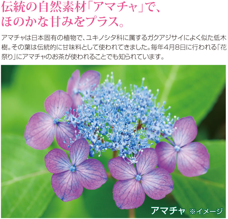 くわ青汁すらり